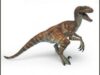 velociraptor