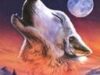 wolf_320_320_0_9223372036854775000_0_1_0.jpg