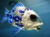 051007_robot_fish.jpg