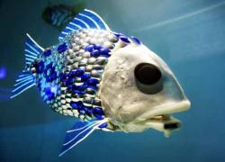 051007_robot_fish.jpg