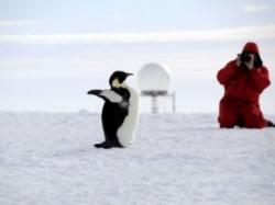 antarctica