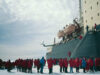 antarctica antarctica