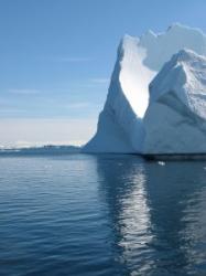 arctica