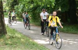 biciclete