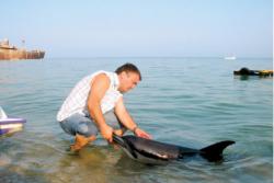 delfin