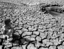desertificare