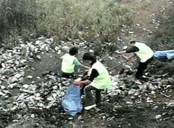ecologizare