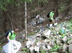 ecologizare