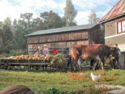 ecoturism la rosia montana