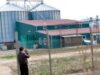 ferma de porci