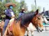 gripa porcina in mexic