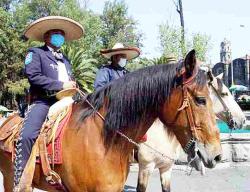gripa porcina in mexic