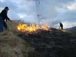 incendierea miristii