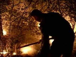 incendiu de padure