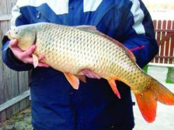 jandarm la braconaj