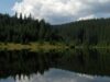 lacul balta lacul balta
