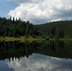 lacul balta