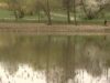 lacul circului