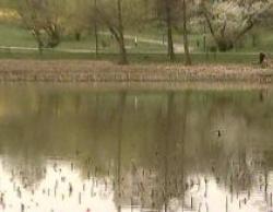lacul circului