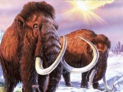 mamut