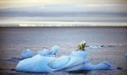 oceanul arctic