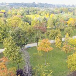 parcul tineretului