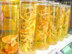 plante medicinale