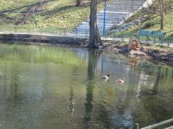 scaderea unui lac