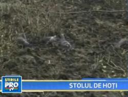 stol de hoti