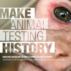 testarea pe animale