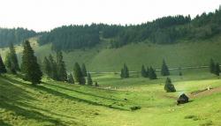 turism ecologic