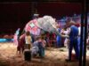 animale la circ