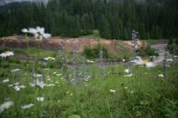biodiversitate