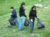 colectare deseuri si ecologizare
