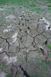 desertificare