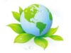 Concurs "Revoluția verde" din cadrul proiectului educațional "Un mediu curat - esența supraviețuirii și progresului"
