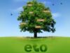 eco timisoara