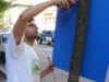 ecologie urbana ecologie urbana
