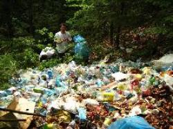 ecologizare