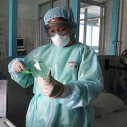epidemie gripa porcina