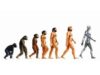 evolutia omului