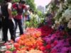 expo flora