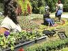 fondul pentru mediu - echilibru ecologic