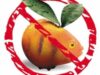 gmo-disadvantages_of_genetically_modified_foods.jpg