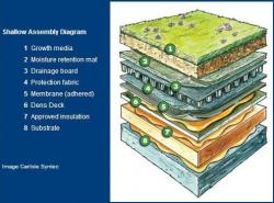 green-roof.JPG