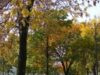 parcul izvor parcul izvor