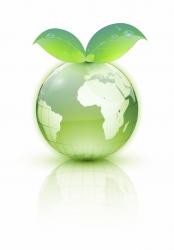 produse eco