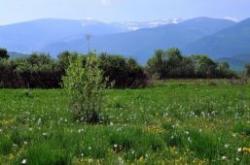 retezat