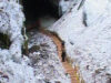 scarisoara scarisoara