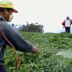 agricultura clasica